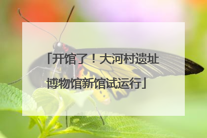开馆了！大河村遗址博物馆新馆试运行