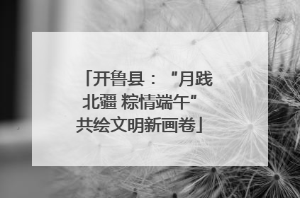 开鲁县：“月践北疆 粽情端午”共绘文明新画卷