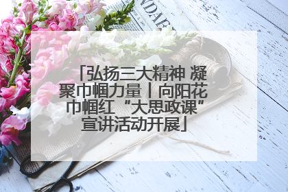 弘扬三大精神 凝聚巾帼力量丨向阳花巾帼红“大思政课”宣讲活动开展