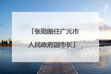 张勋图任广元市人民政府副市长