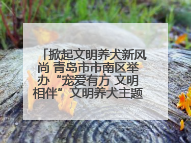 掀起文明养犬新风尚 青岛市市南区举办“宠爱有方 文明相伴”文明养犬主题宣传活动