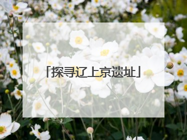 探寻辽上京遗址
