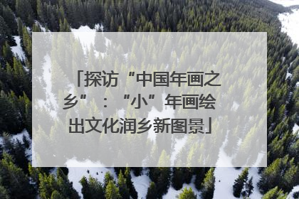 探访“中国年画之乡”：“小”年画绘出文化润乡新图景