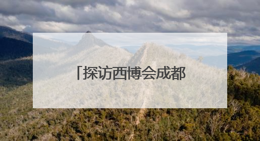 探访西博会成都馆：一网打尽“成都智造” 硬核科技赚足观众眼球