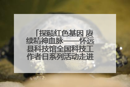 探赜红色基因 赓续精神血脉——怀远县科技馆全国科技工作者日系列活动走进怀远县实验中学