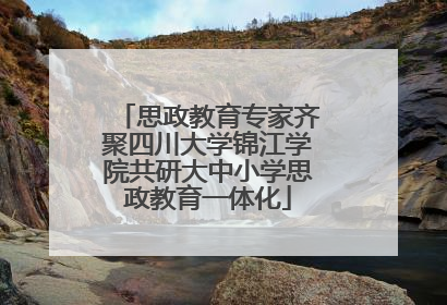 思政教育专家齐聚四川大学锦江学院共研大中小学思政教育一体化