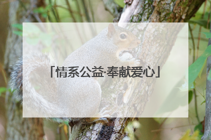 情系公益·奉献爱心
