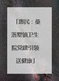 惠民：桑落墅镇卫生院党建引领送健康