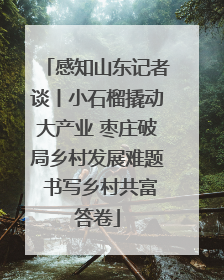 感知山东记者谈丨小石榴撬动大产业 枣庄破局乡村发展难题 书写乡村共富答卷