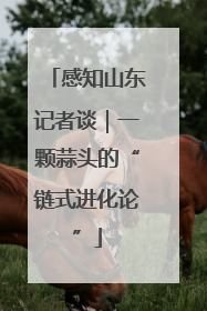 感知山东记者谈｜一颗蒜头的“链式进化论”