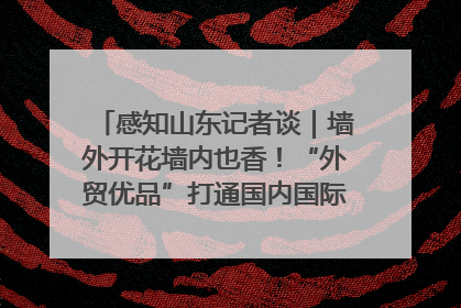 感知山东记者谈｜墙外开花墙内也香！“外贸优品”打通国内国际市场“旋转门”