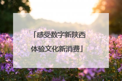感受数字新陕西 体验文化新消费