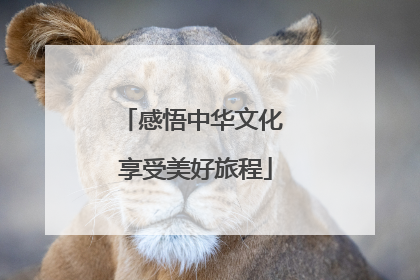 感悟中华文化 享受美好旅程