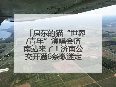 房东的猫“世界/青年”演唱会济南站来了！济南公交开通6条歌迷定制专线