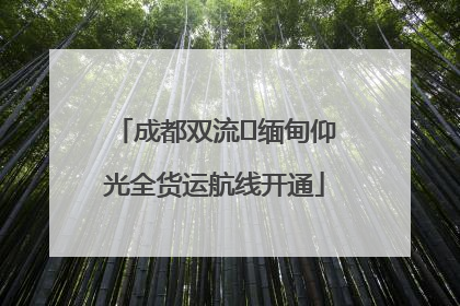 成都双流⇌缅甸仰光全货运航线开通
