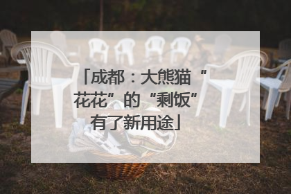 成都：大熊猫“花花”的“剩饭”有了新用途