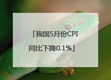 我国5月份CPI同比下降0.1%