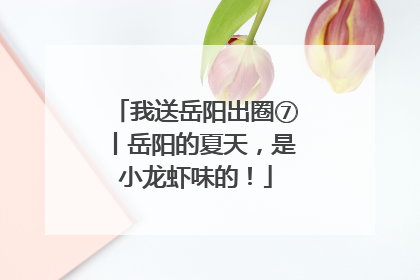 我送岳阳出圈⑦丨岳阳的夏天，是小龙虾味的！