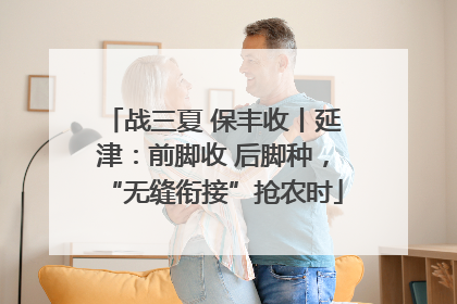 战三夏 保丰收丨延津：前脚收 后脚种，“无缝衔接”抢农时