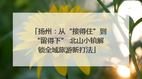 扬州：从“接得住”到“留得下” 北山小镇解锁全域旅游新打法