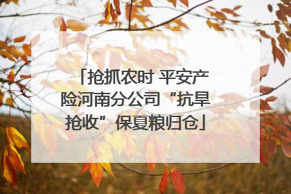 抢抓农时 平安产险河南分公司“抗旱抢收”保夏粮归仓