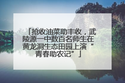 抢收油菜助丰收，武陵源一中数百名师生在黄龙洞生态田园上演“青春助农记”