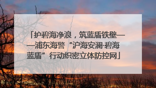 护碧海净浪，筑蓝盾铁壁——浦东海警“沪海安澜·碧海蓝盾”行动织密立体防控网