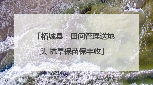 柘城县：田间管理送地头 抗旱保苗保丰收