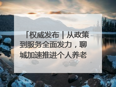 权威发布｜从政策到服务全面发力，聊城加速推进个人养老金制度落地