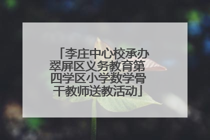 李庄中心校承办翠屏区义务教育第四学区小学数学骨干教师送教活动