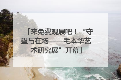 来免费观展吧！“守望与在场——毛本华艺术研究展”开幕