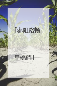 枣阳路畅皇桃俏