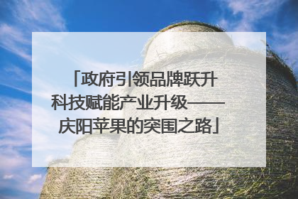 政府引领品牌跃升 科技赋能产业升级——庆阳苹果的突围之路