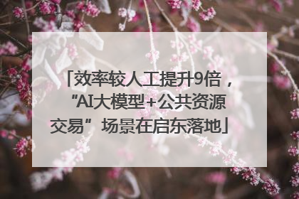 效率较人工提升9倍，“AI大模型+公共资源交易”场景在启东落地