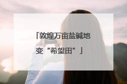 敦煌万亩盐碱地变“希望田”