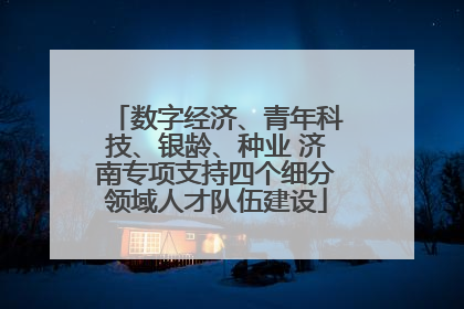 数字经济、青年科技、银龄、种业 济南专项支持四个细分领域人才队伍建设