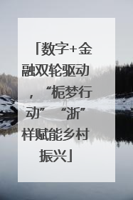 数字+金融双轮驱动，“栀梦行动”“浙”样赋能乡村振兴