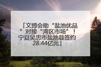 文博会助“盐池优品”对接“湾区市场”！宁夏吴忠市盐池县签约28.44亿元