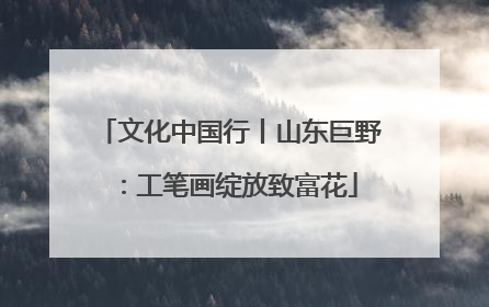 文化中国行丨山东巨野：工笔画绽放致富花