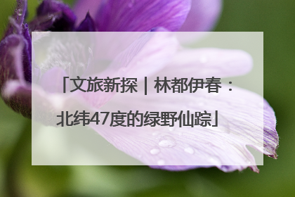 文旅新探｜林都伊春：北纬47度的绿野仙踪
