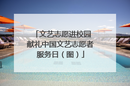 文艺志愿进校园 献礼中国文艺志愿者服务日(图)