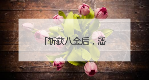 斩获八金后，潘展乐这样说……