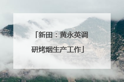 新田：黄永英调研烤烟生产工作