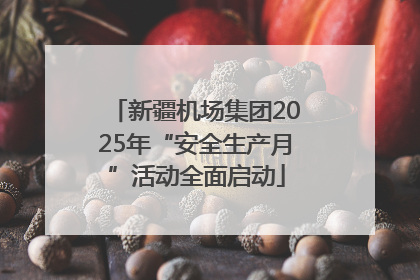 新疆机场集团2025年“安全生产月”活动全面启动