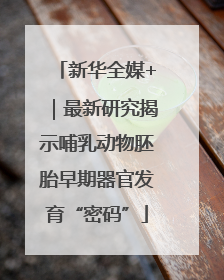 新华全媒+｜最新研究揭示哺乳动物胚胎早期器官发育“密码”