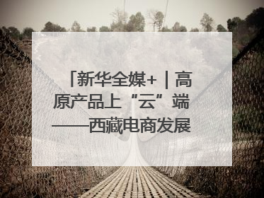新华全媒+｜高原产品上“云”端——西藏电商发展一线观察