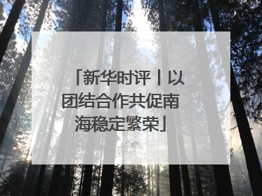 新华时评丨以团结合作共促南海稳定繁荣