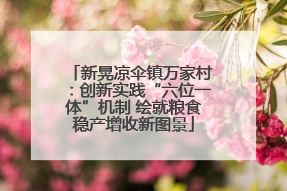 新晃凉伞镇万家村：创新实践“六位一体”机制 绘就粮食稳产增收新图景