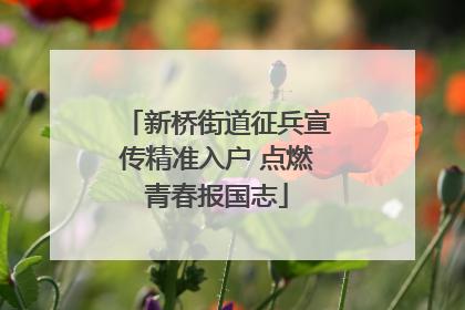 新桥街道征兵宣传精准入户 点燃青春报国志