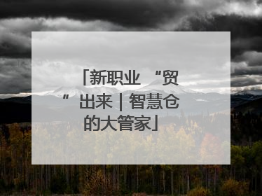 新职业 “贸”出来｜智慧仓的大管家